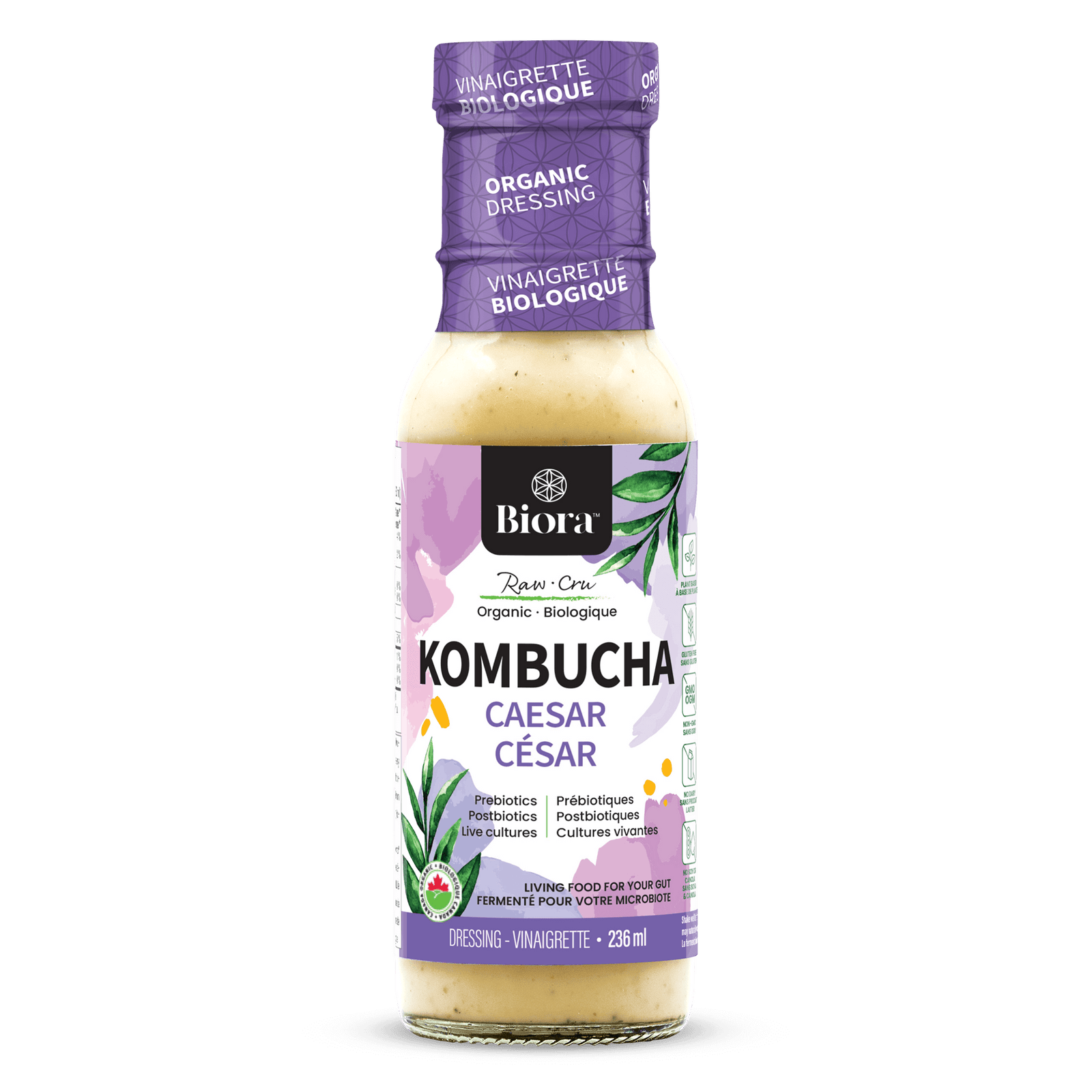 Biora's kombucha caesar dressing