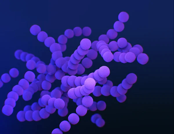 illustration of prebiotics, probiotics and postbiotics bacterias