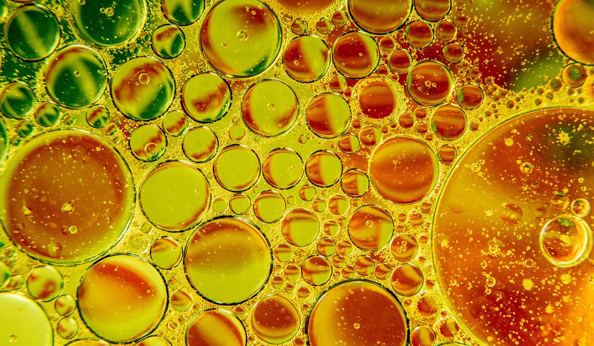 Why You Should Avoid Seed Oils In Your Diet