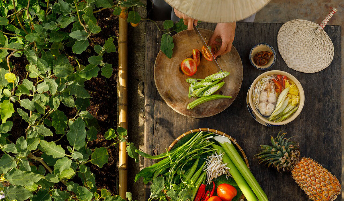 What are Probiotics and Prebiotics?