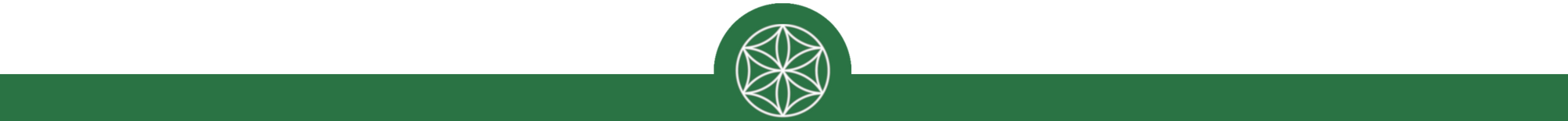 Biora logo half circle
