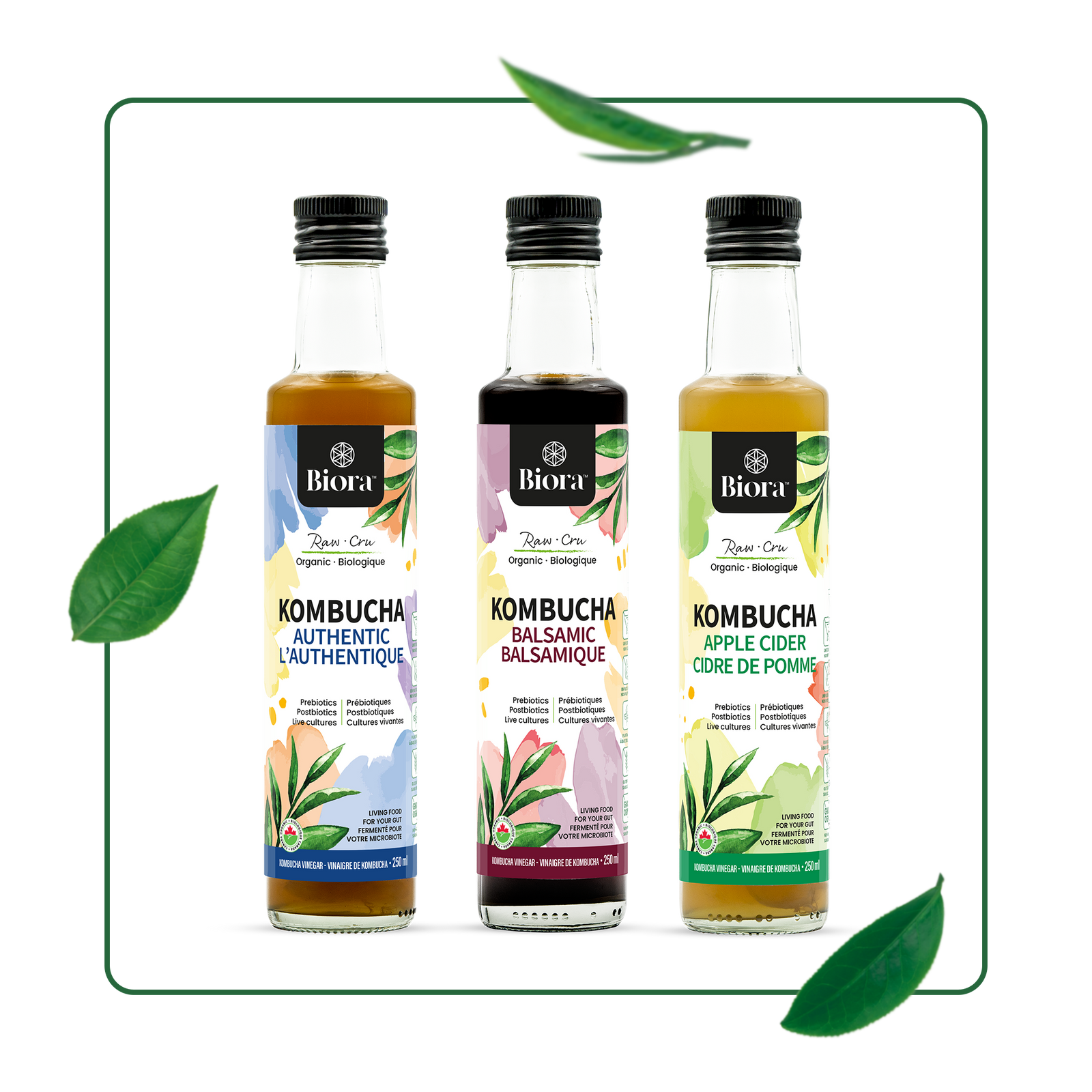 Biora's Organic Kombucha Vinegar