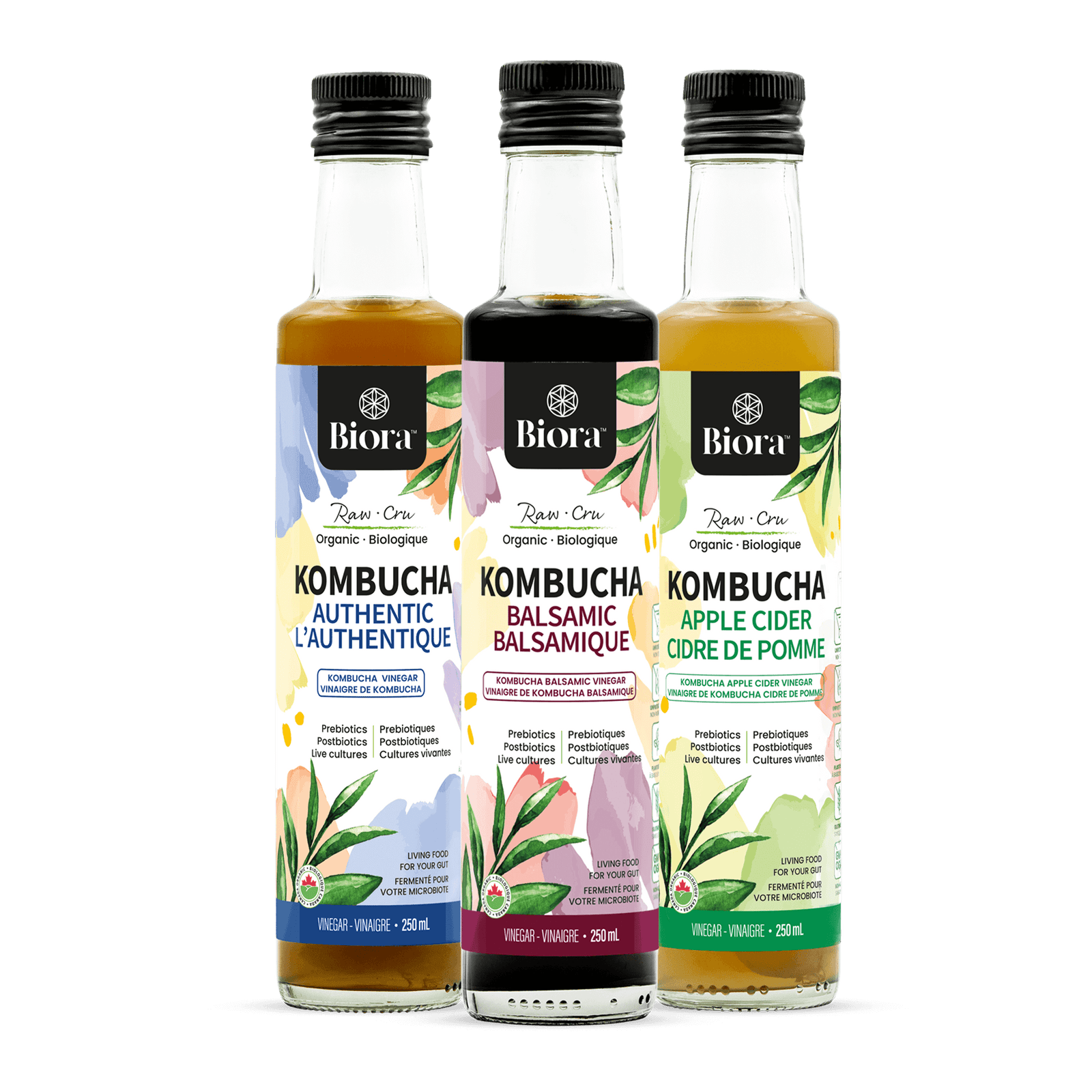 Biora's new kombucha vinegars