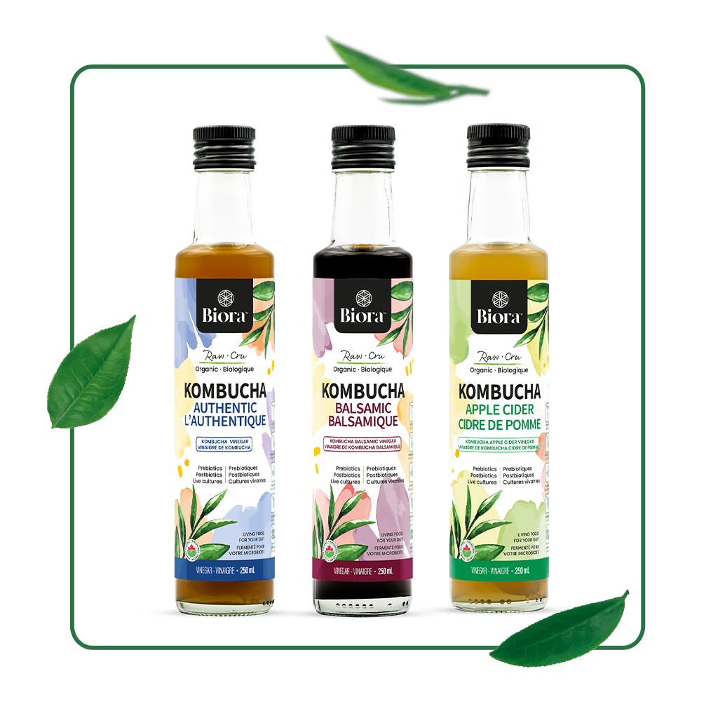 Biora's kombucha vinegars ; kombucha authentic vinegar, kombucha balsamic vinegar and kombuch apple cider vinegar