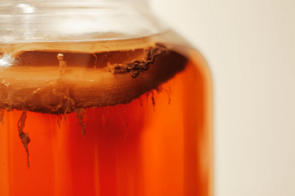 Kombucha fermenting in a glass bottle with scoby on top