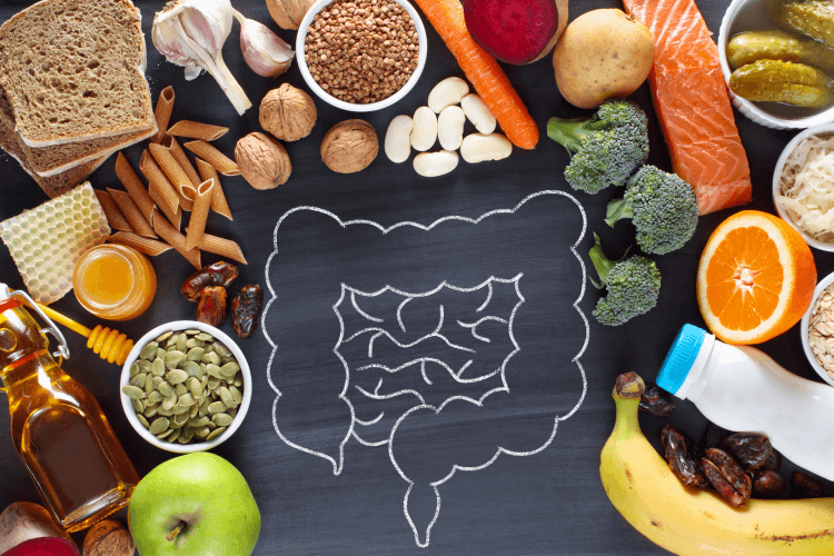 gut drawn on a board with healthy foods around it